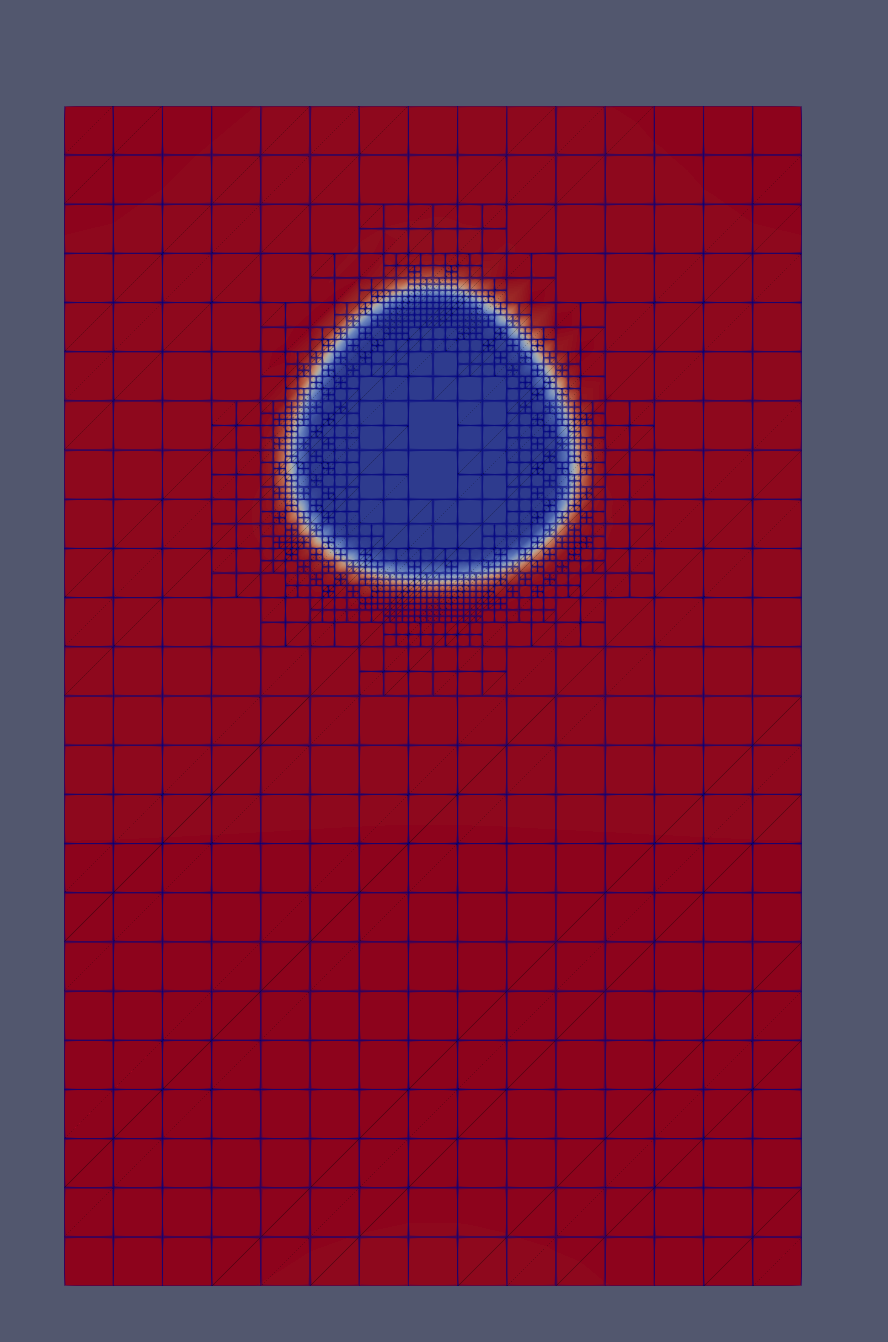 AMR mesh